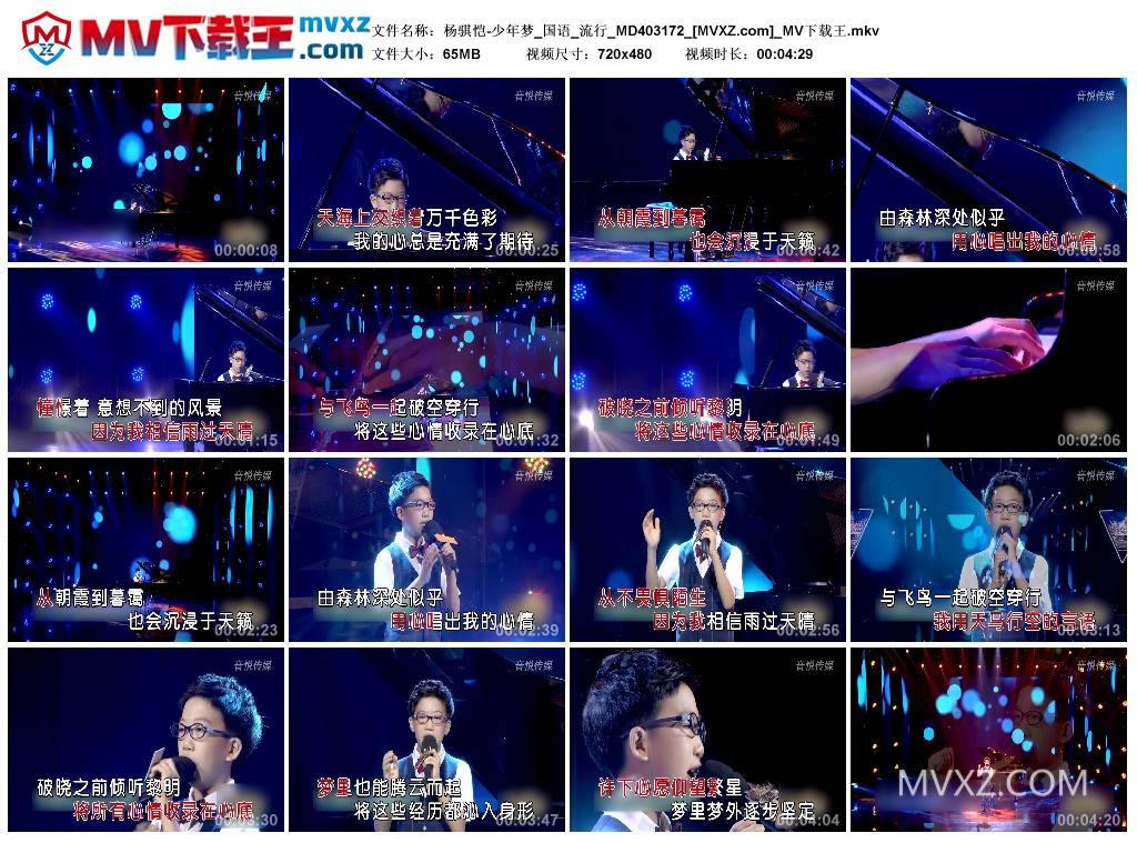 杨骐恺-少年梦_国语_流行_MD403172